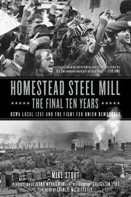 Homestead Steel Mill - The Final Ten Years book