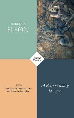 A Responsibility to Awe book