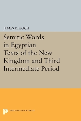 Semitic Words in Egyptian Texts of the New Kingdom and Third Intermediate Period book