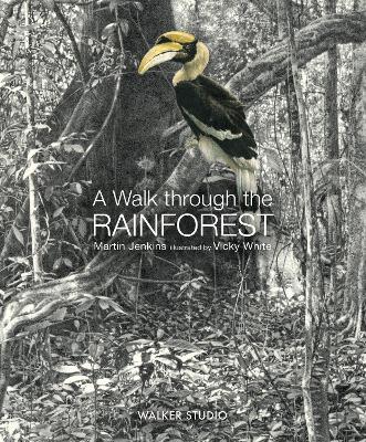A Walk Through the Rainforest book