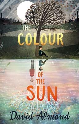 The Colour of the Sun book