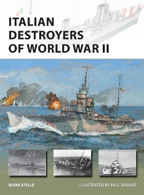 Italian Destroyers of World War II book
