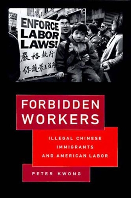 Forbidden Workers book