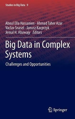 Big Data in Complex Systems book