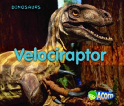 Velociraptor by Daniel Nunn