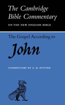 Gospel according to John book