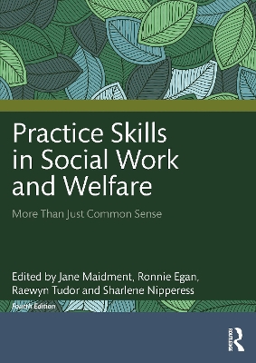 Practice Skills in Social Work and Welfare: More Than Just Common Sense by Jane Maidment