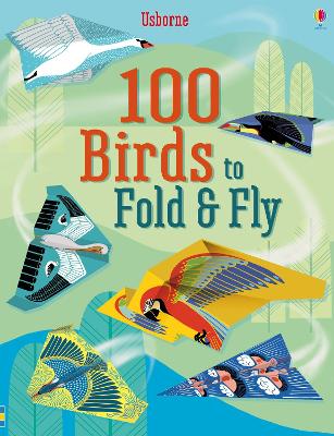 100 Birds to Fold and Fly book