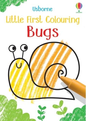 Little First Colouring Bugs book