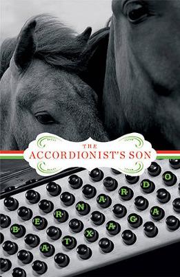 Accordionist's Son by Bernardo Atxaga