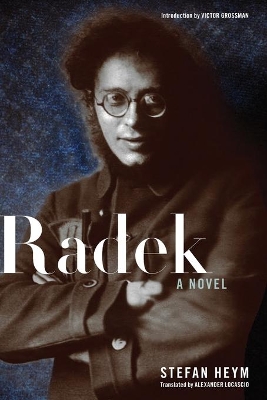 Radek book