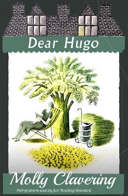 Dear Hugo book
