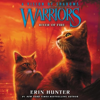 Warriors: A Vision of Shadows #5: River of Fire book