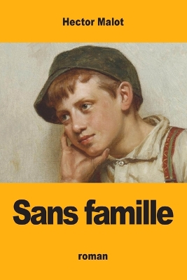 Sans famille book