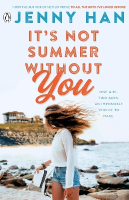 It's Not Summer Without You book
