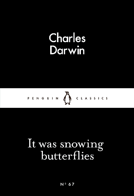 It Was Snowing Butterflies book