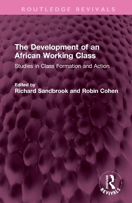 The Development of an African Working Class: Studies in Class Formation and Action book