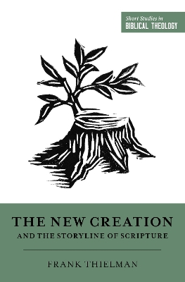 The New Creation and the Storyline of Scripture book