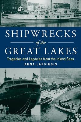 Shipwrecks of the Great Lakes: Tragedies and Legacies from the Inland Seas book