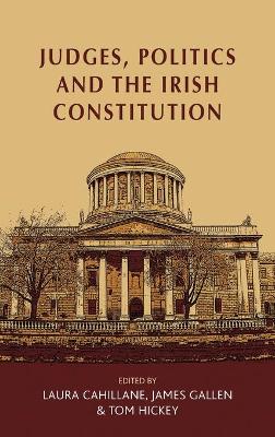 Judges, Politics and the Irish Constitution book