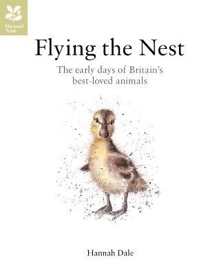 Flying the Nest book