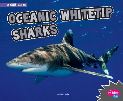 Oceanic Whitetip Sharks by Jody S. Rake