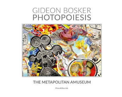 Gideon Bosker: Photopoesis, the Metapolitan Museum book