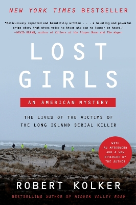 Lost Girls: An American Mystery book