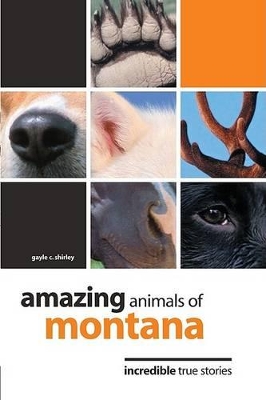 Amazing Animals of Montana book