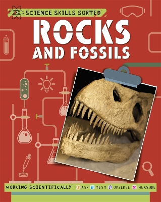 Science Skills Sorted!: Rocks and Fossils book