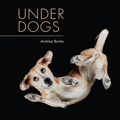 Under Dogs book
