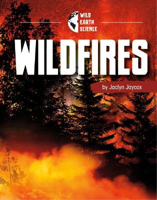 Wildfires book