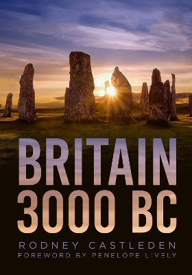 Britain 3000 BC book