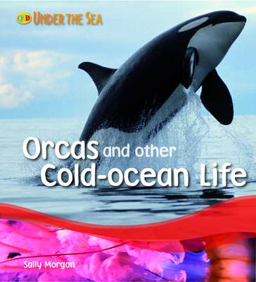 Orcas and Other Cold Ocean Life by Sally Morgan