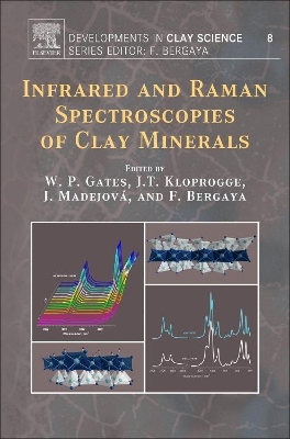 Infrared and Raman Spectroscopies of Clay Minerals book