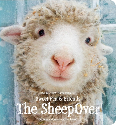 The SheepOver by John Churchman