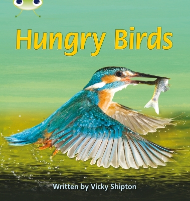 Bug Club Phonics Bug Non-fiction Set 23 Hungry Birds book