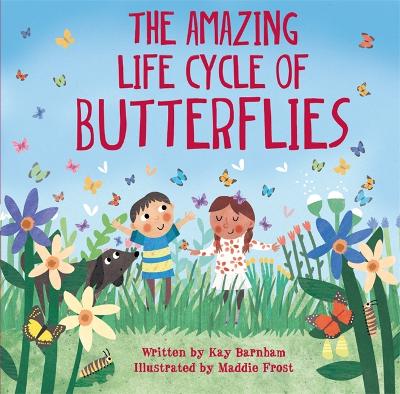 Look and Wonder: The Amazing Life Cycle of Butterflies book