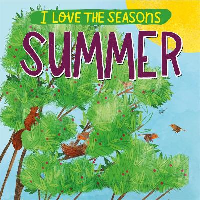 I Love the Seasons: Summer book