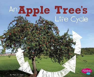 Apple Tree's Life Cycle book
