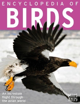 Encyclopedia of Birds book
