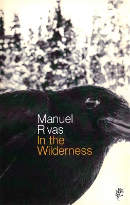In The Wilderness book