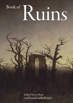 Book of Ruins book