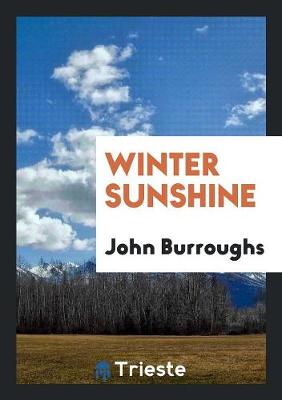 Winter Sunshine book