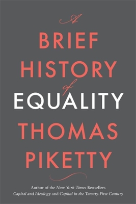 A Brief History of Equality book