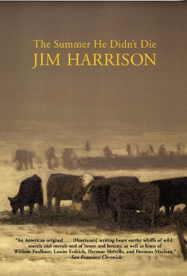 Summer He Didn't Die book