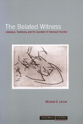 Belated Witness book