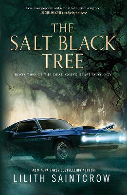 The Salt-Black Tree: Book Two of the Dead God's Heart Duology book