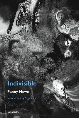 Indivisible, new edition book