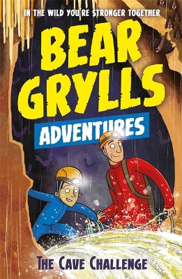 A Bear Grylls Adventure 9: The Cave Challenge book